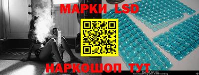 шишки Абакан