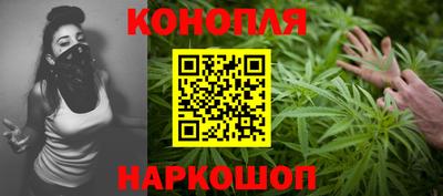 шишки Абакан