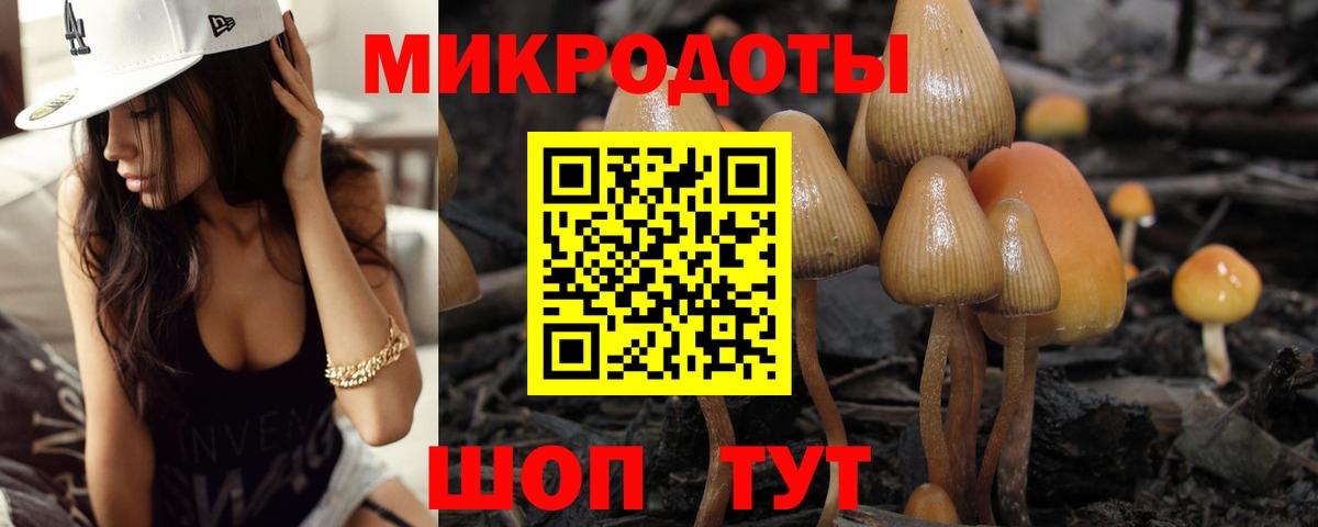 Галлюциногенные грибы прущие грибы  Псилоцибиновые грибы MAGIC MUSHROOMS  Абинск  Вход с VPN 